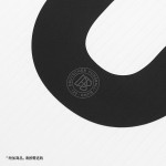 德国国家队125周年纪念长袖球衣