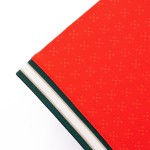 葡萄牙国家队2025-26赛季球员版主场球衣