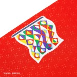 葡萄牙国家队2025-26赛季球迷版长袖主场球衣